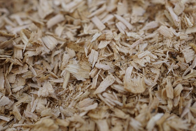 Træspåner og dyrevelfærd: Hvad siger forskningen?