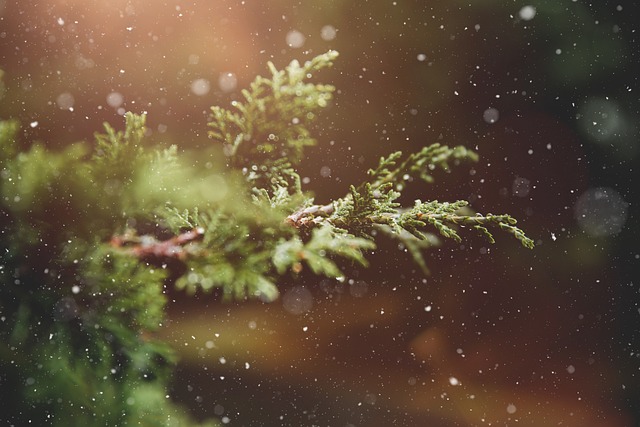 Nissedøre og sjove overraskelser: Sådan spreder du glæde i juletiden